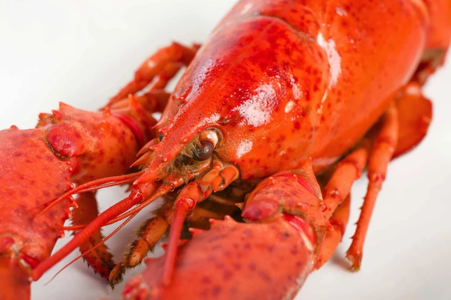 Quoi manger à Vancouver · 2