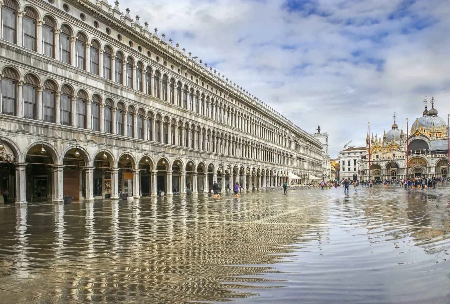 Why Venice Rests on Timber Piles