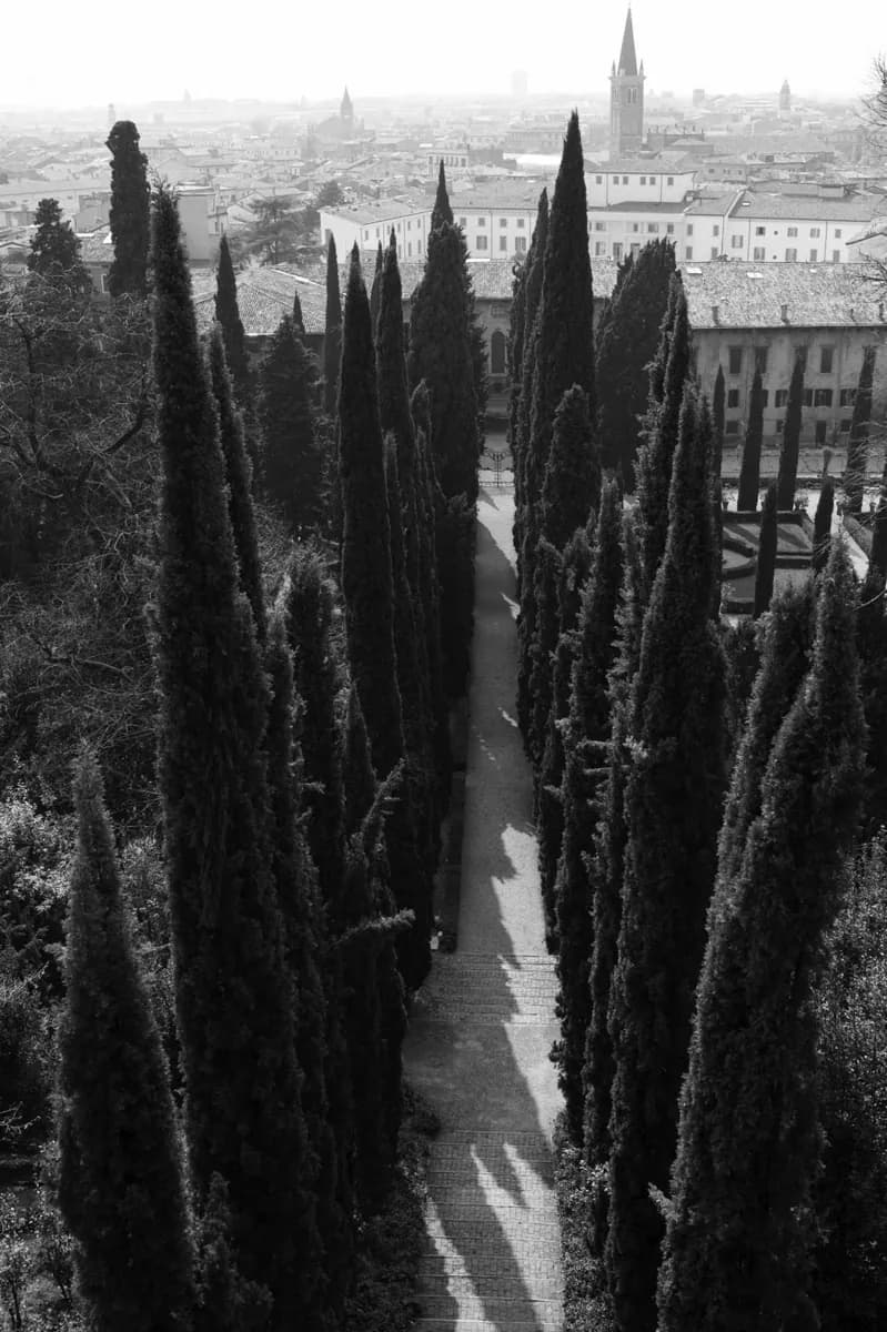 Giardino Giusti and Palazzo Giusti · 2