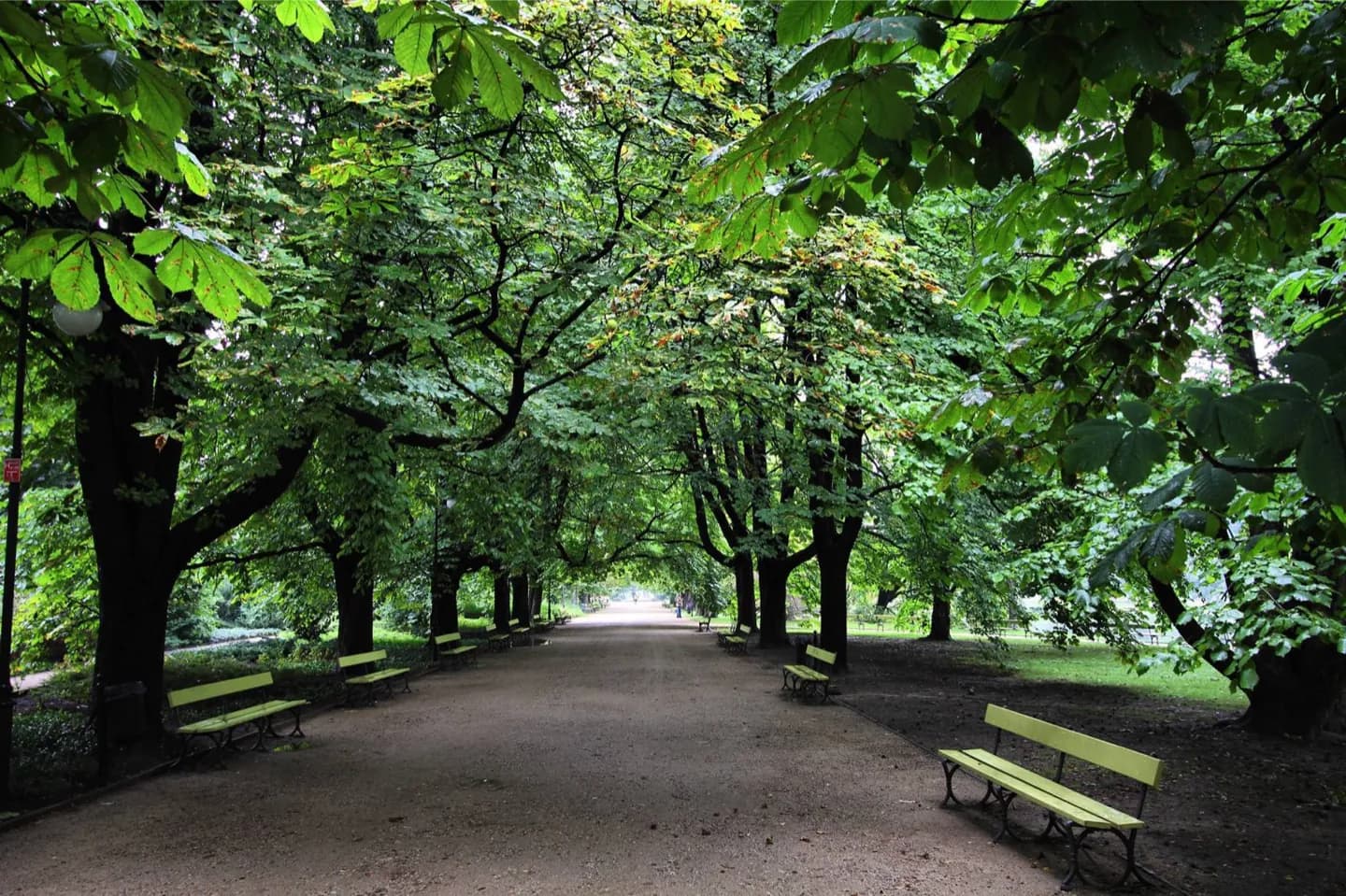 Parco di Ujazdów