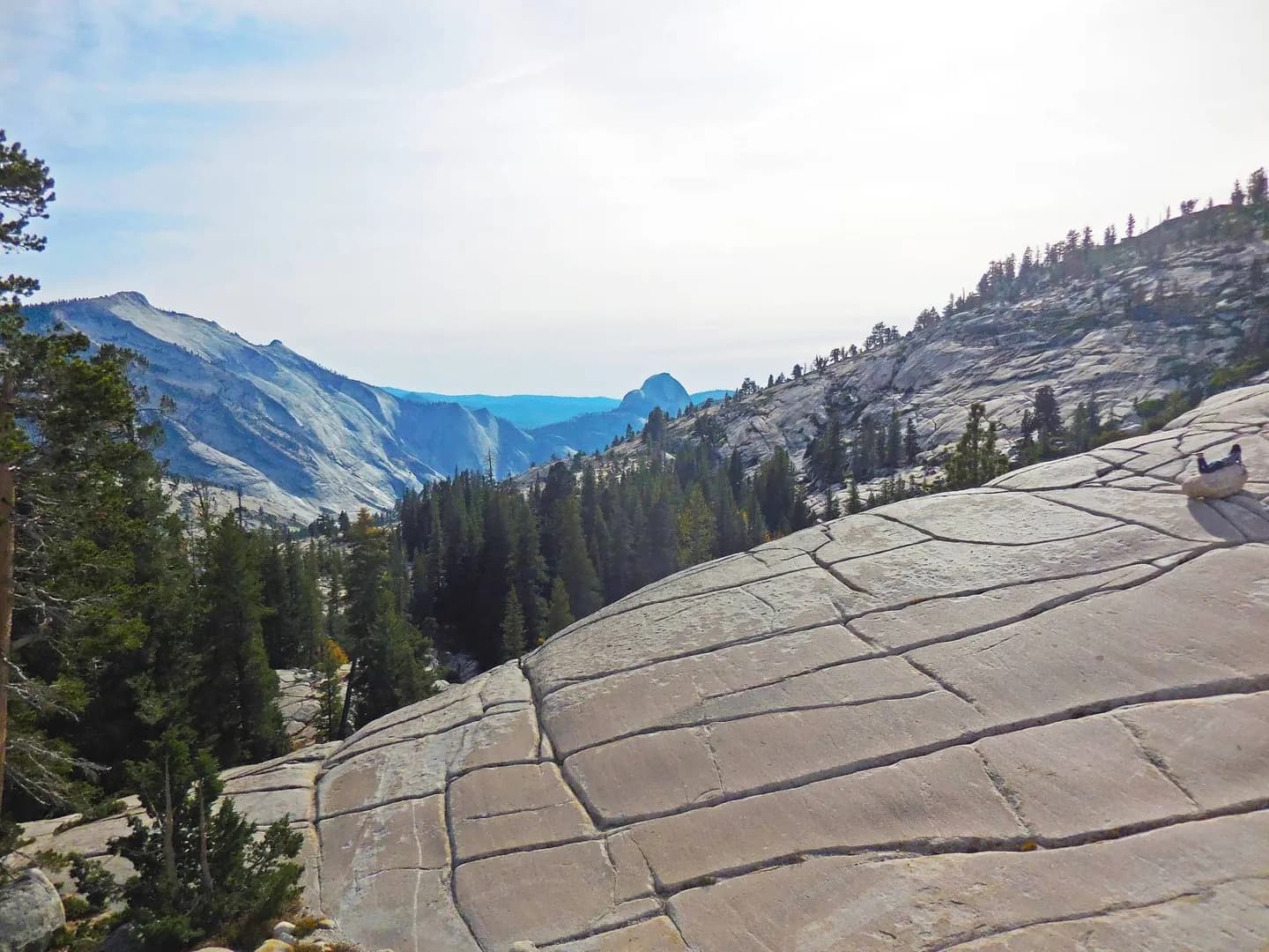 Olmsted Point