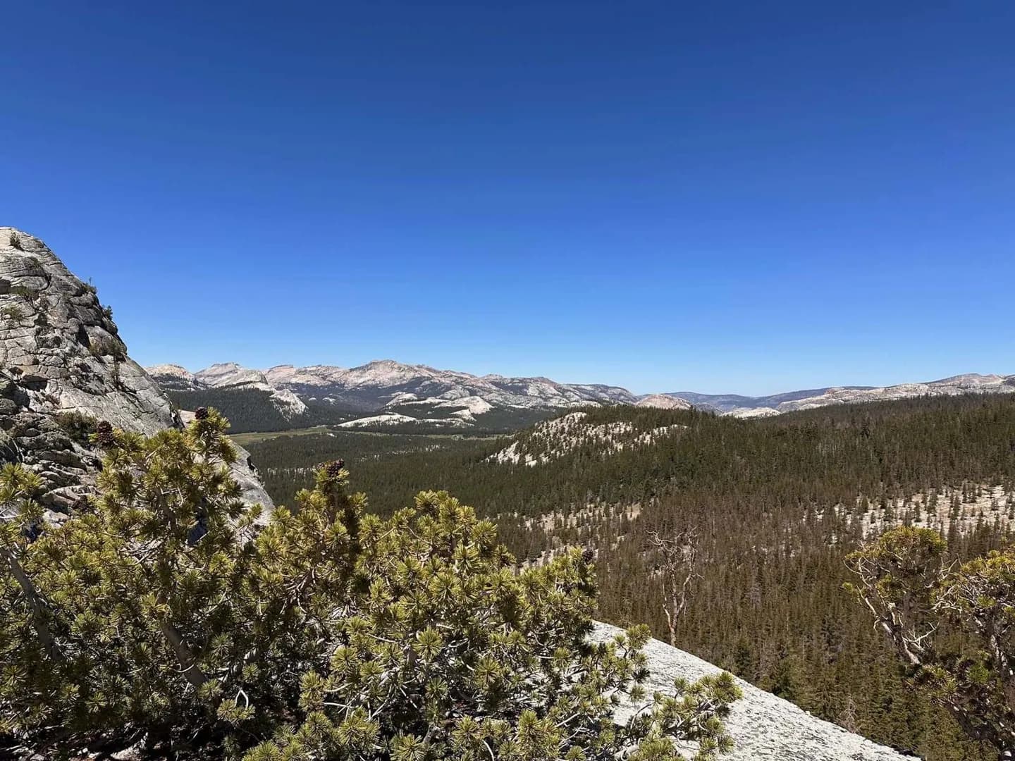 Tuolumne Meadows
