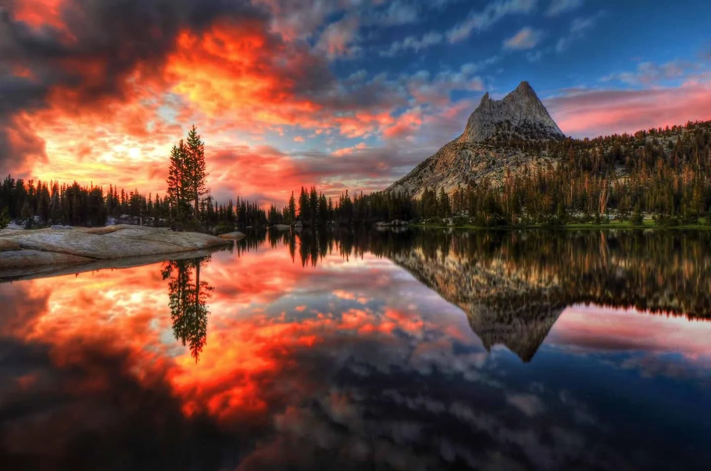Habitats à travers les hauteurs de Yosemite · 2
