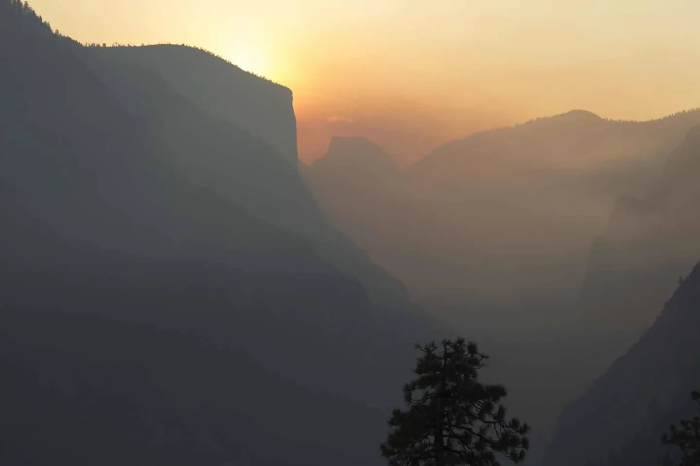 Fire, Smoke, and Changing Forests