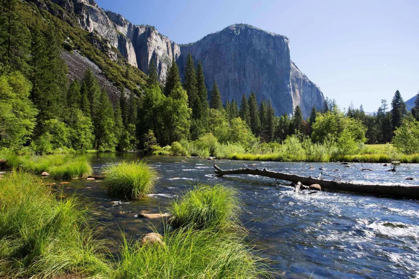 Cómo el granito y los glaciares dieron forma a Yosemite