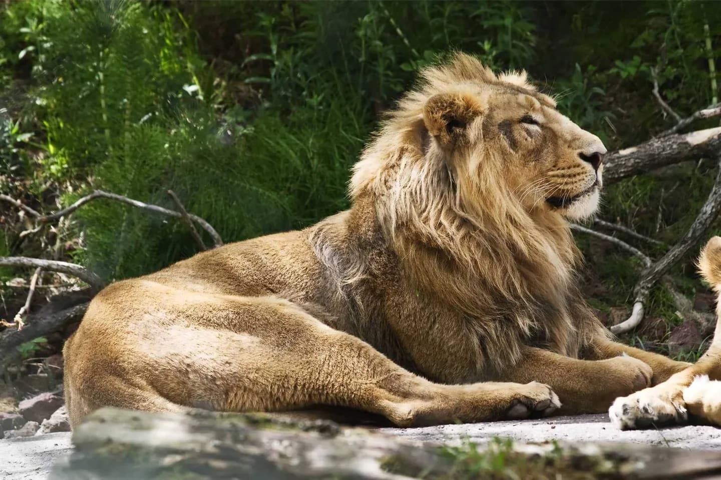 Zoológico de Zurique · 2
