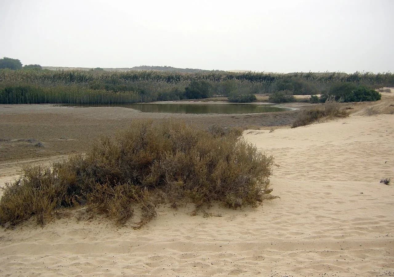 Al Wathba Wetland Reserve