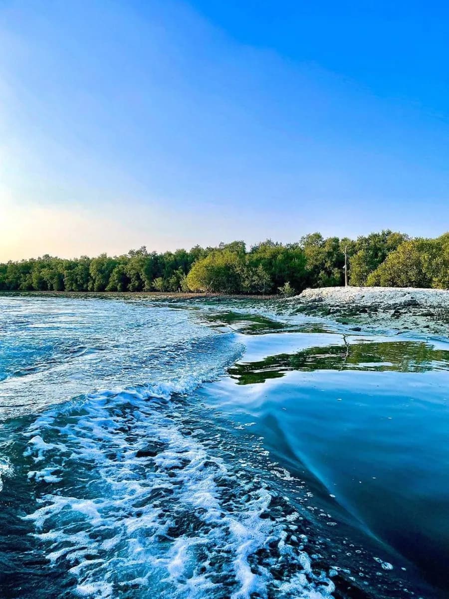 Eastern Mangrove National Park