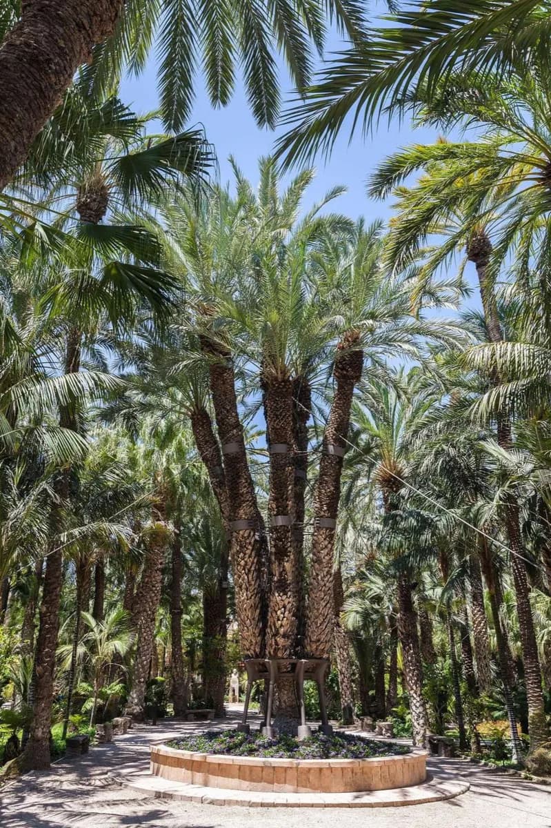 Jardin du Cura