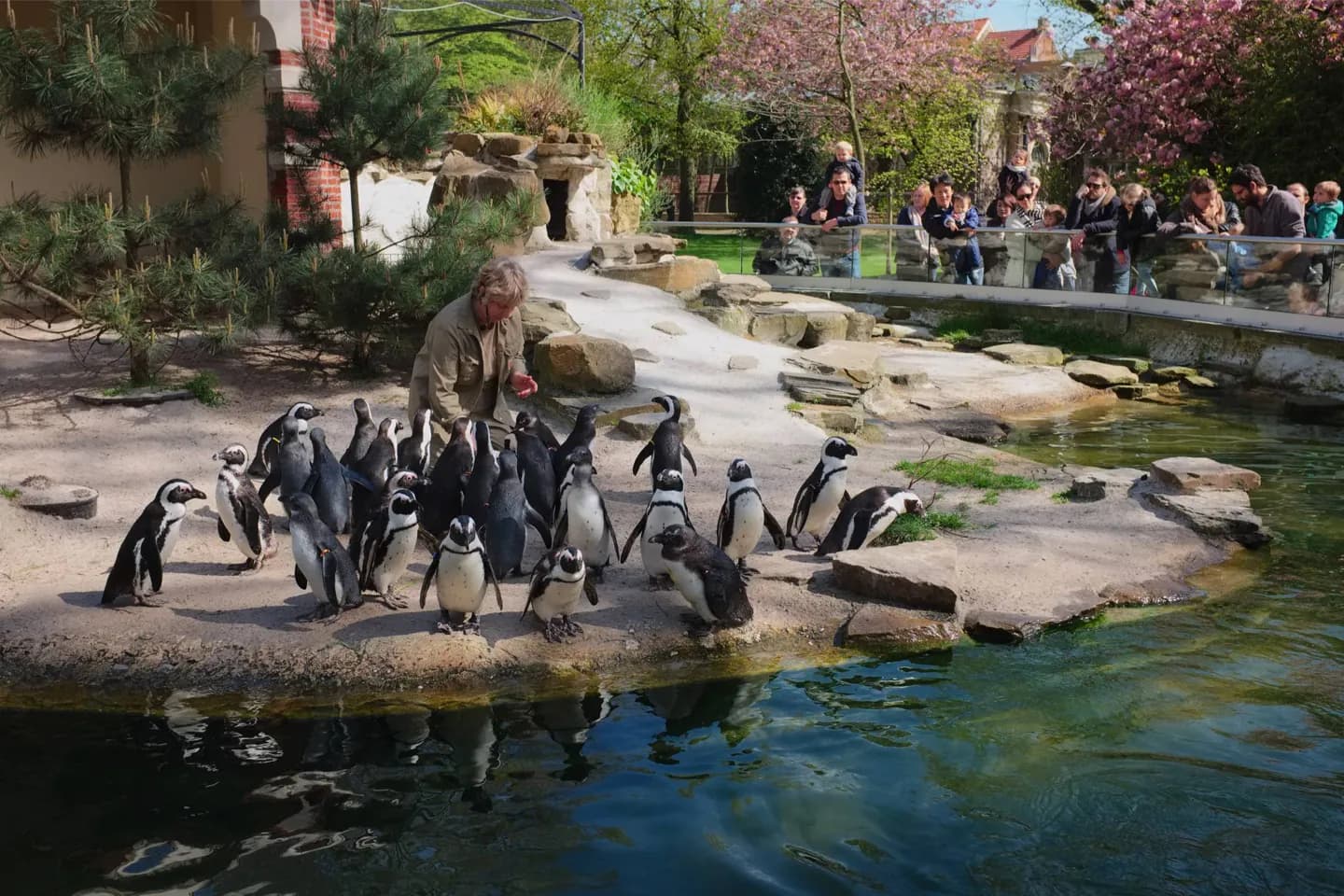 Antwerp Zoo