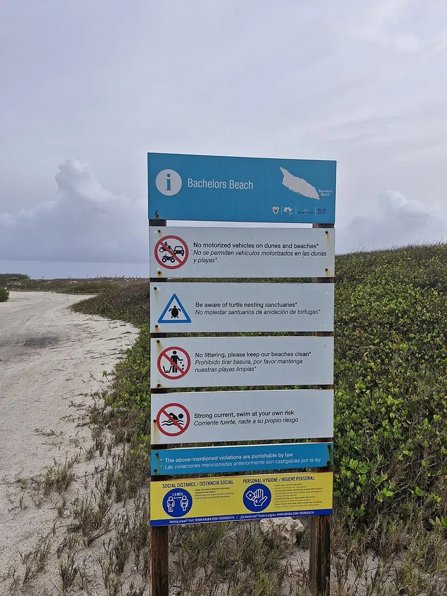 Bachelor's Beach