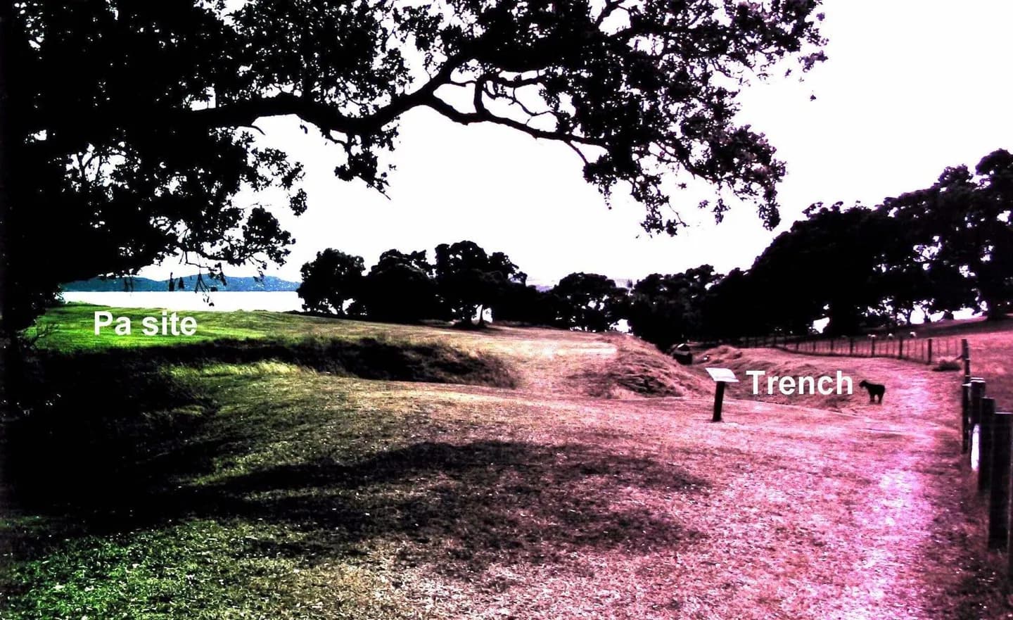 Ōmana Regional Park