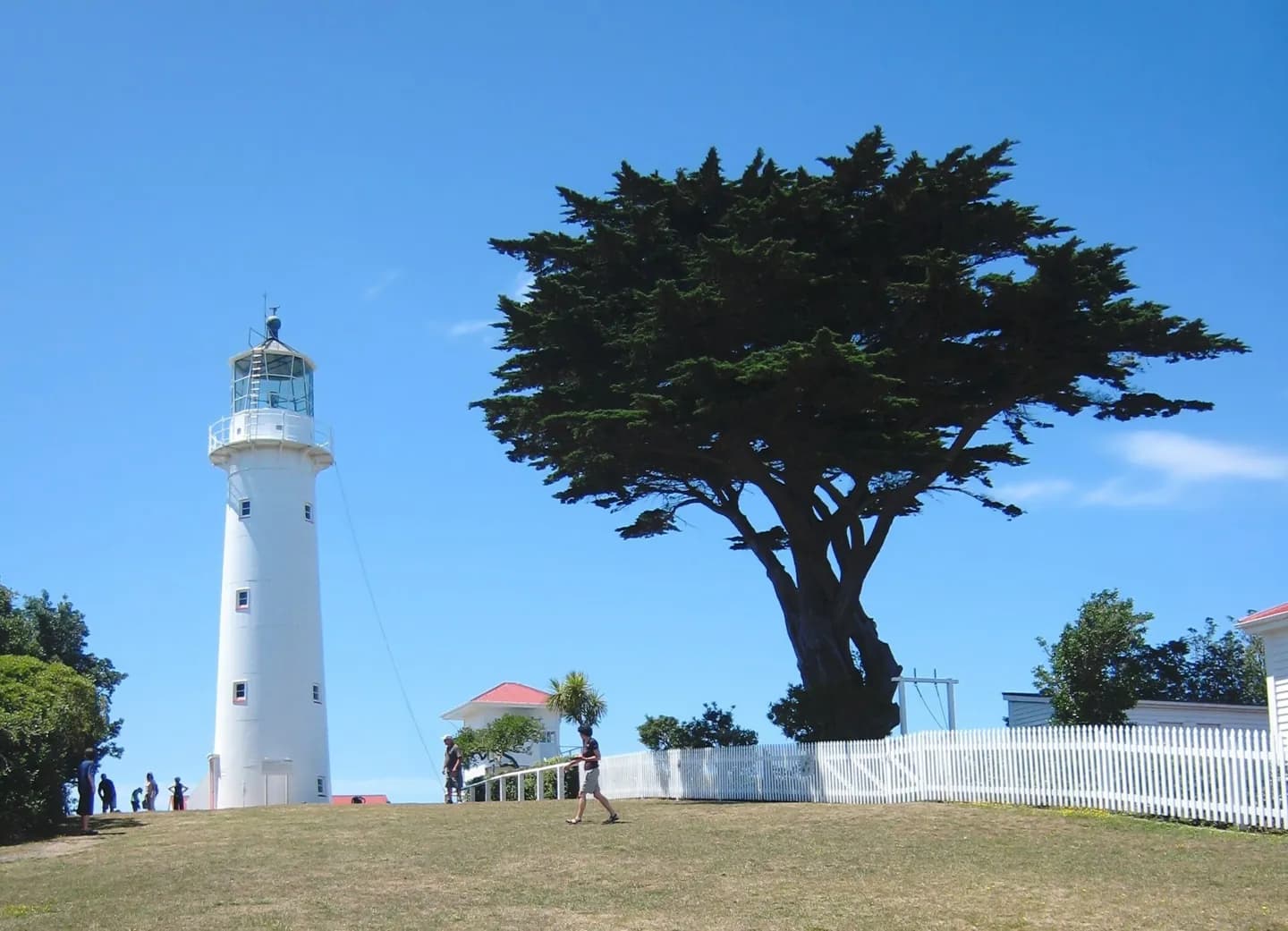 Tiritiri Matangi Wissenschaftliche Reserve
