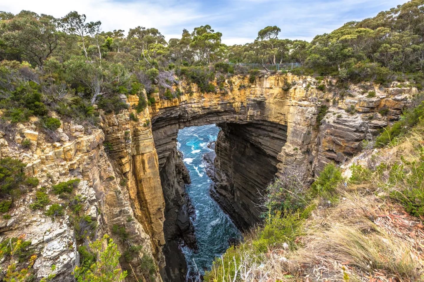 Australische Wildtiere beobachten