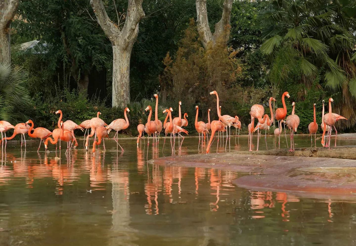Barcelona Zoo