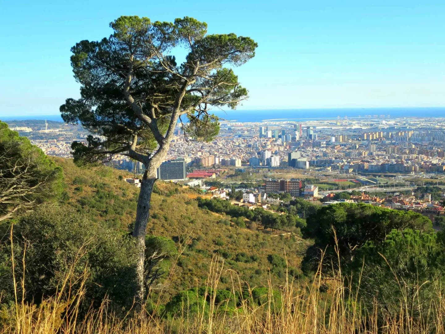 Serra de Collserola