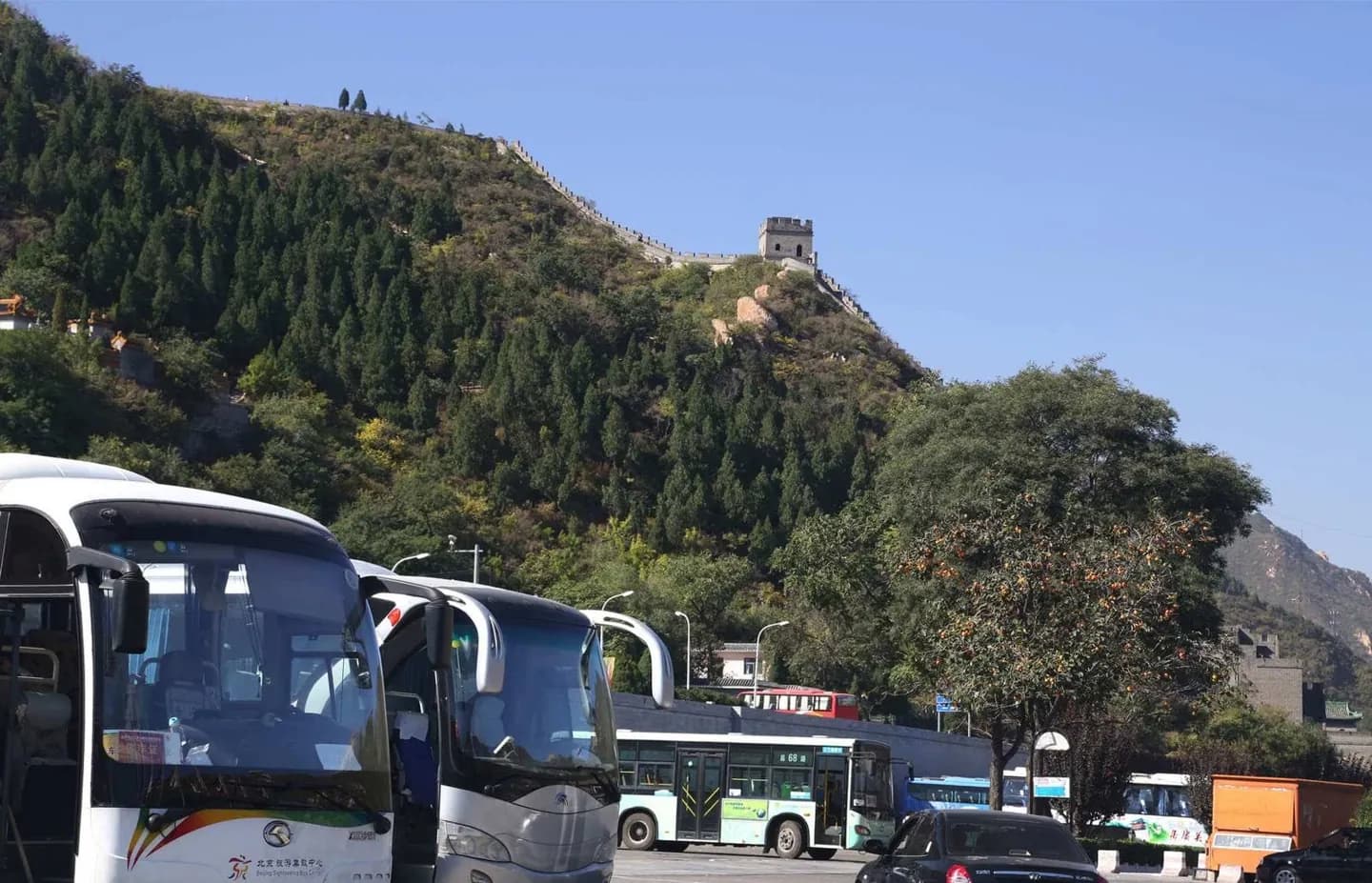 Arriving by Bus