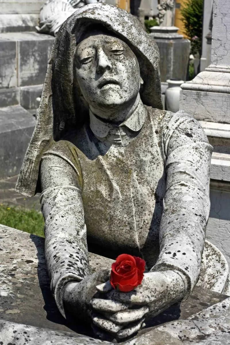 Von Felsina nach Roman Bononia