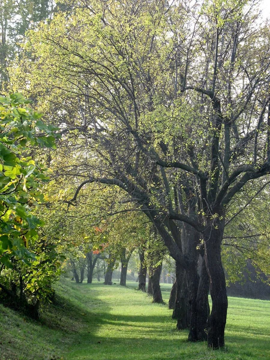 Parc de la Villa Ghigi