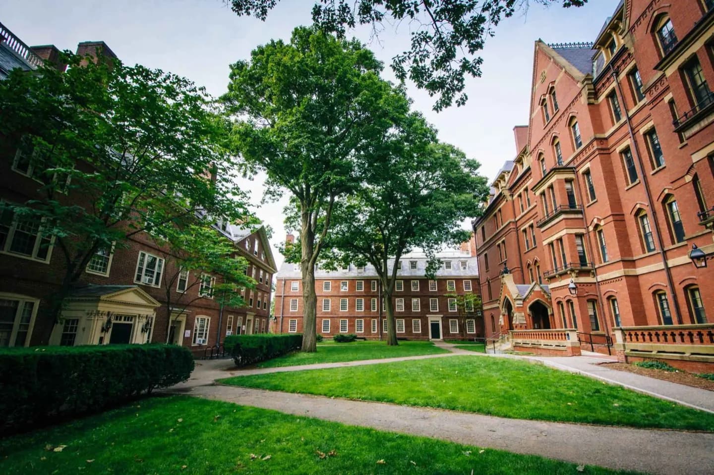 Université Harvard