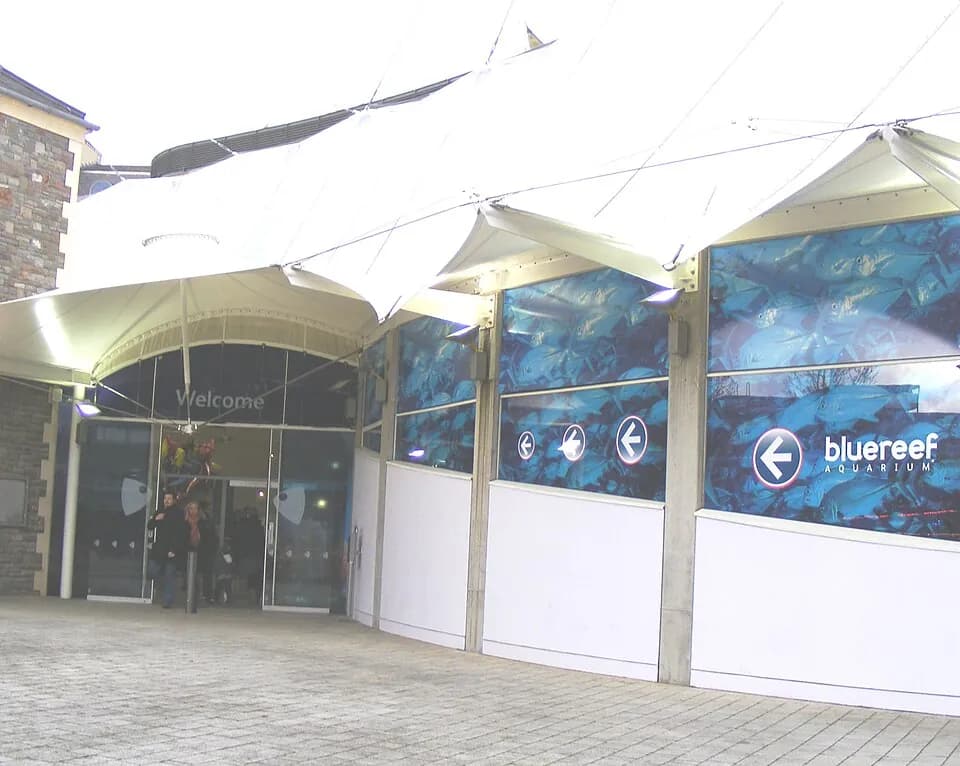布里斯托尔水族馆