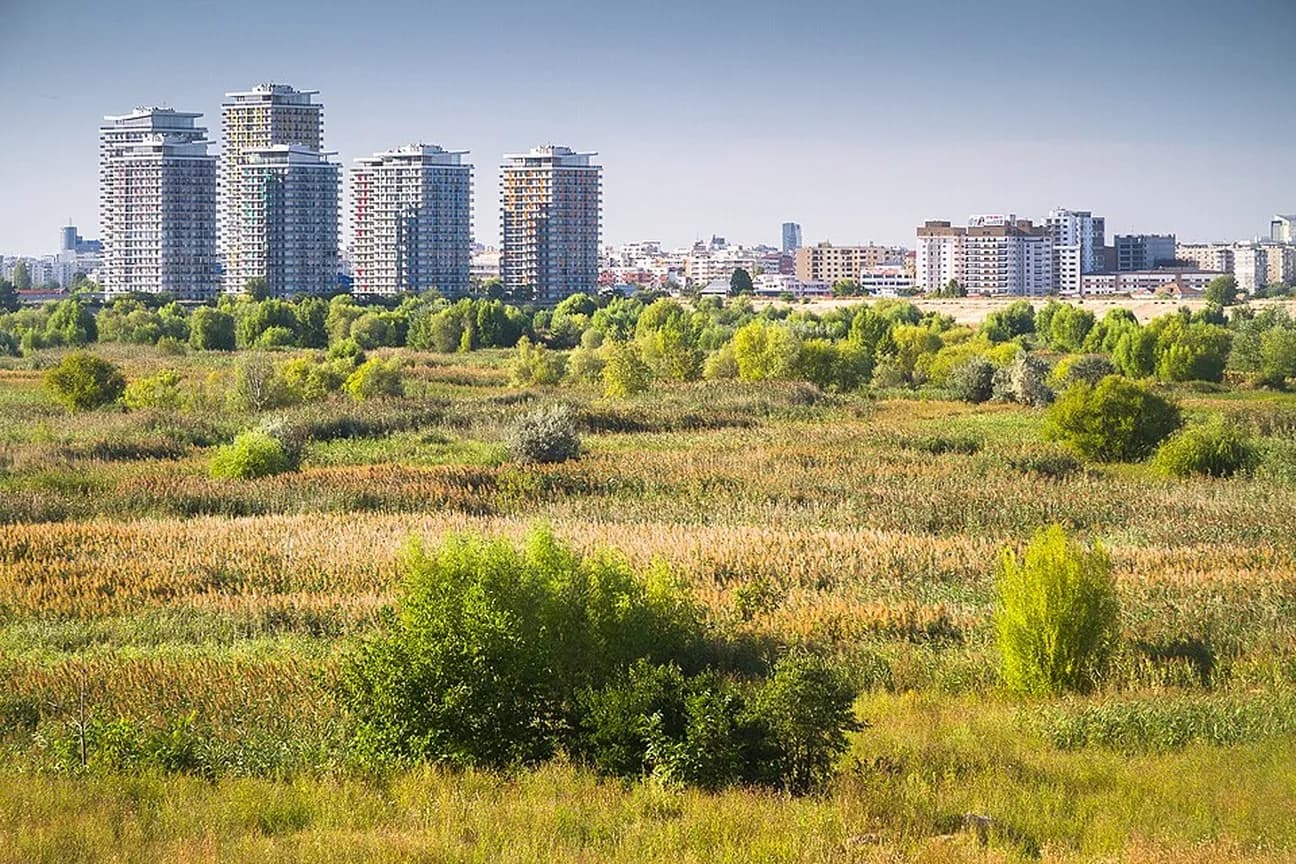 Parco naturale di Văcărești