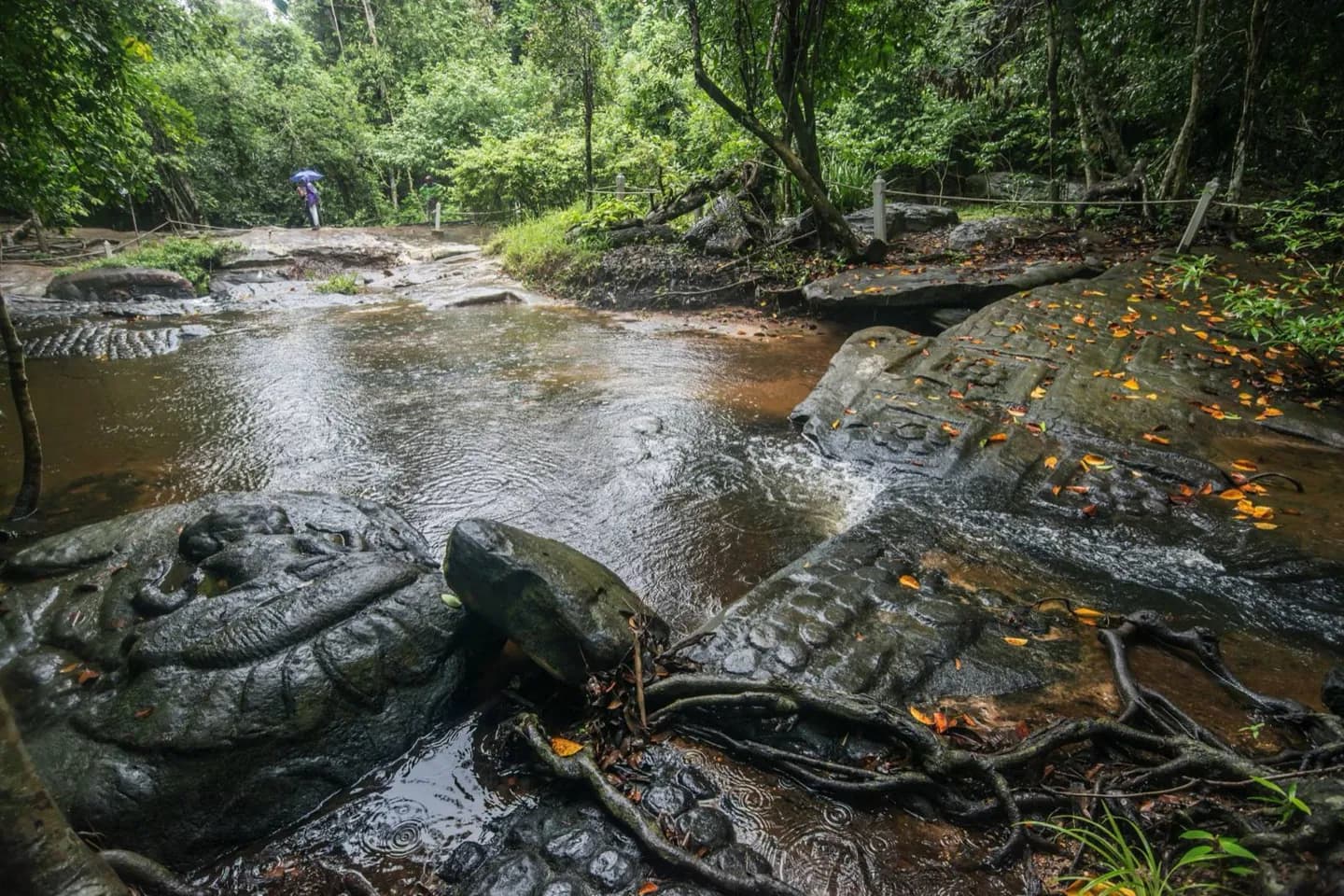 Why Tonlé Sap changes direction