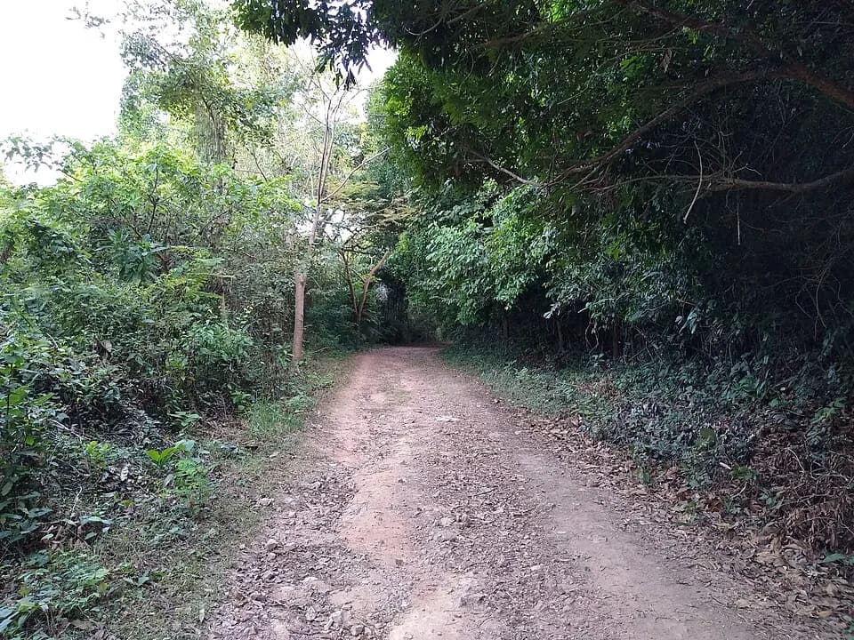 Kep Forest, Crab Market and Rabbit Island