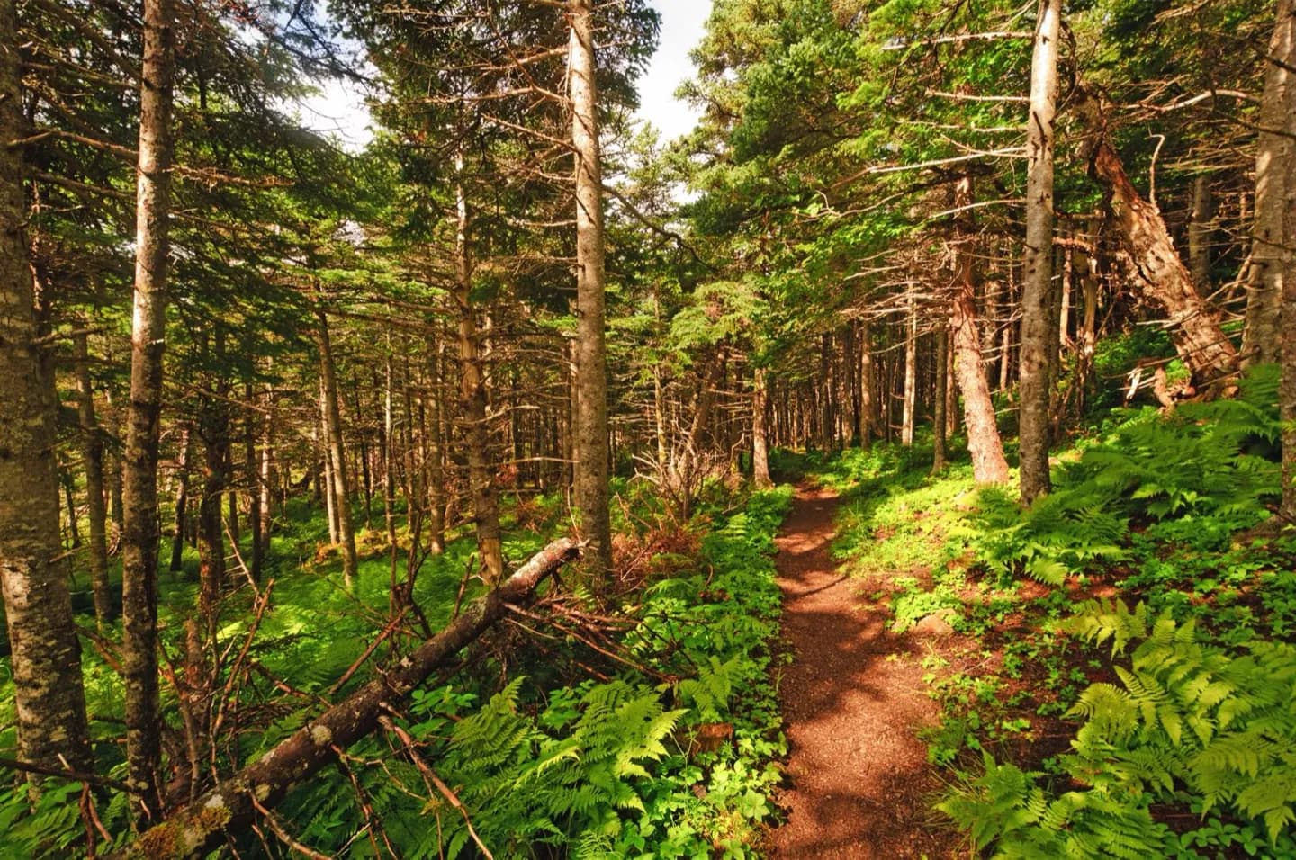 Réserve du parc national de Gwaii Haanas et site du patrimoine de Haida