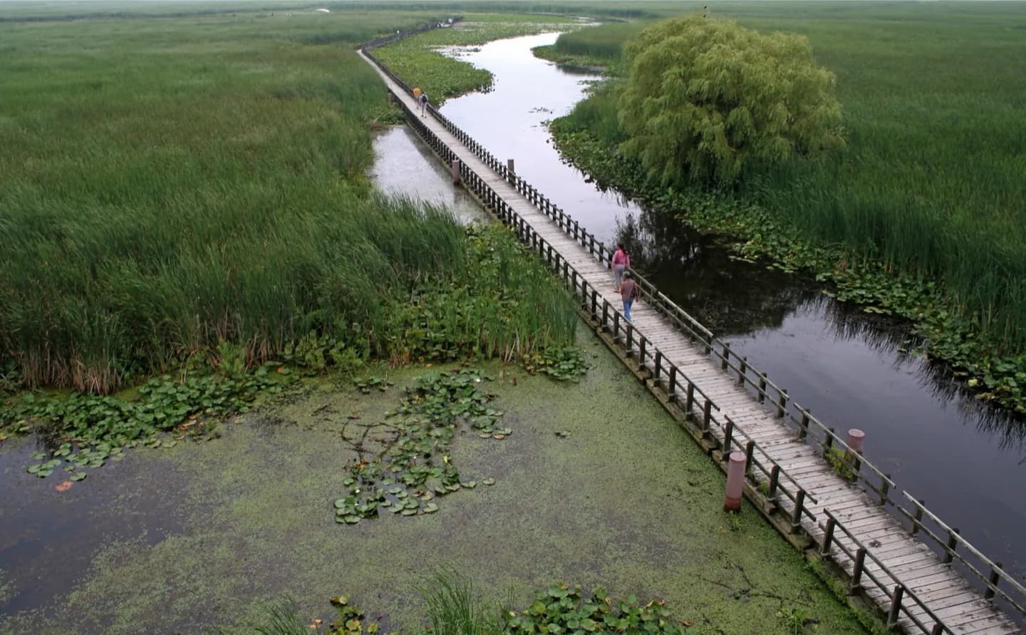 Point Pelee National Park
