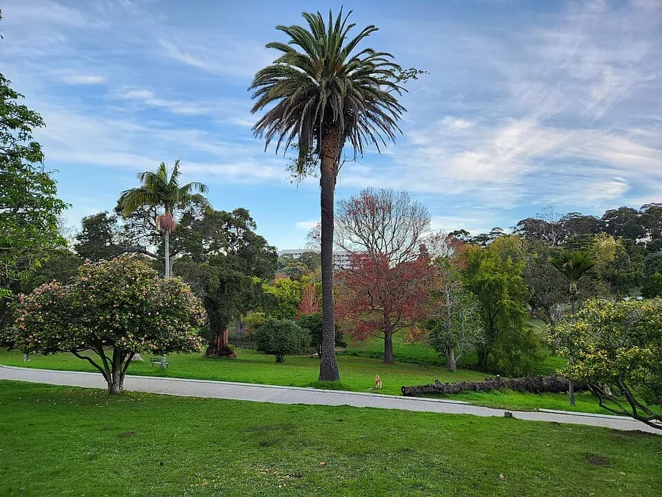 Jardines de Wynberg y Claremont