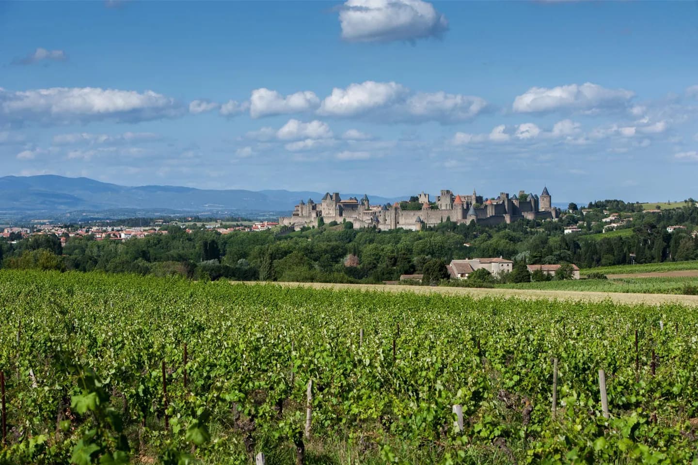 Cenário de Carcassonne