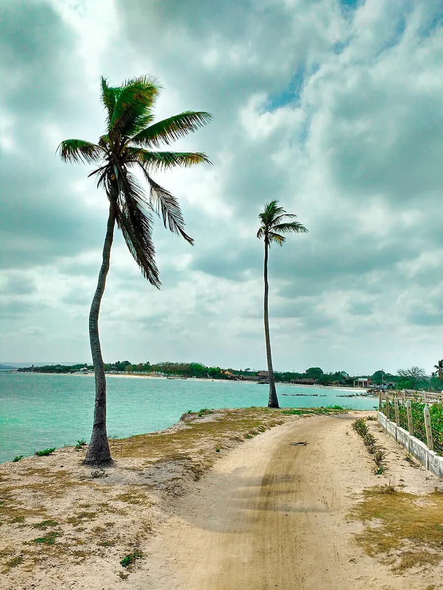 Playa de Punta Arena