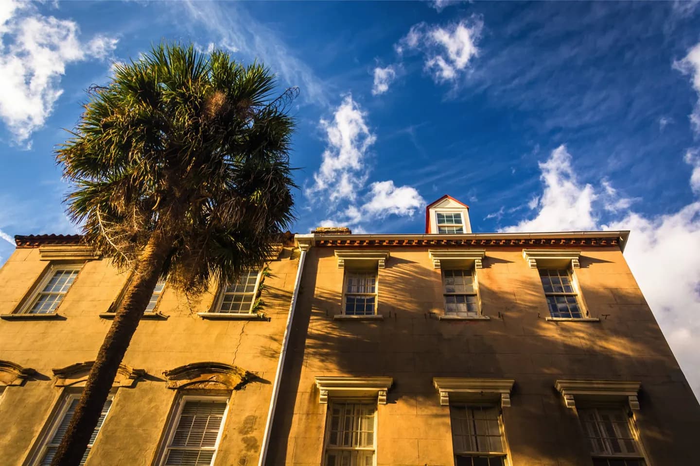 Charleston en Libros y en Pantalla