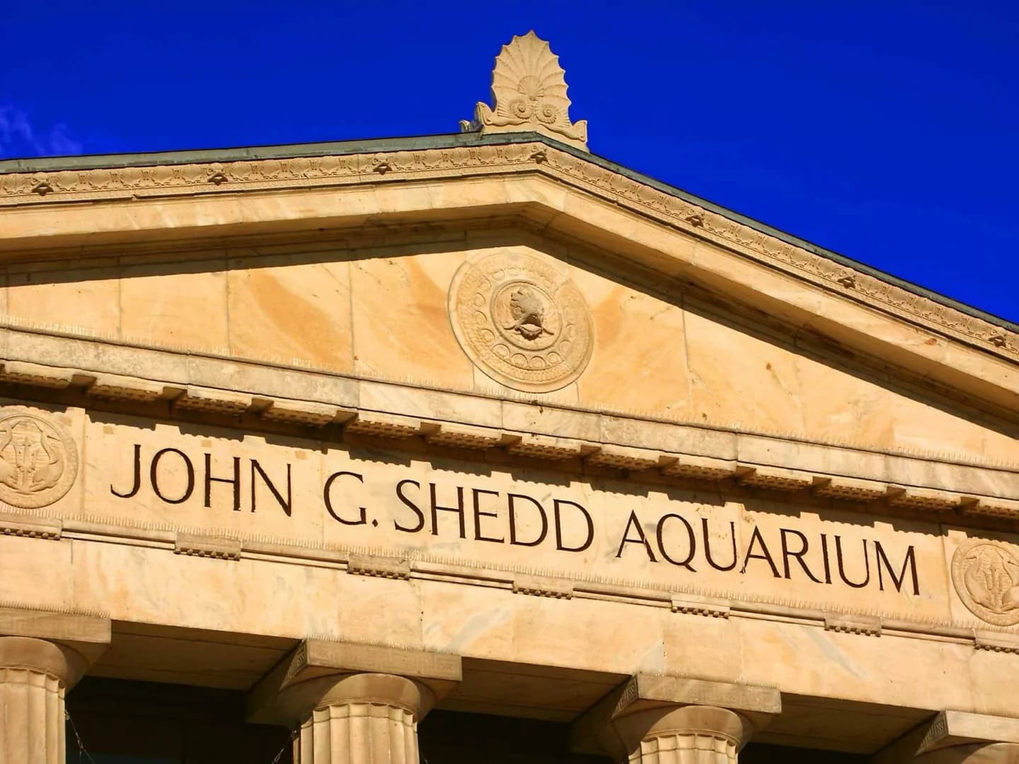 Aquarium Shedd