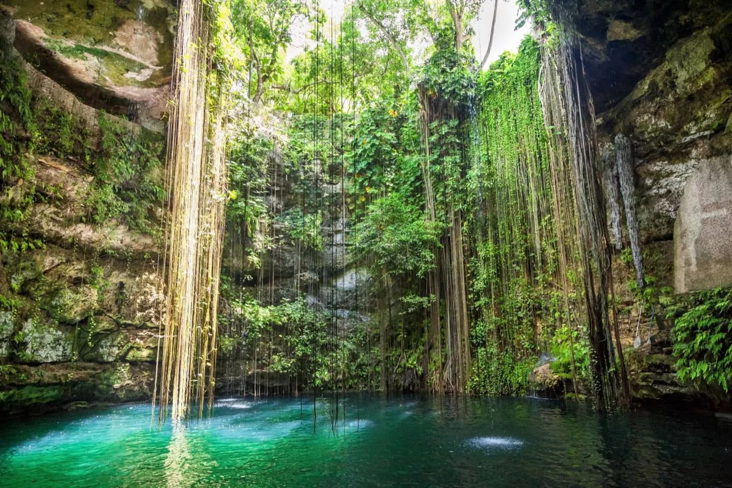 Food in the ancient Maya world