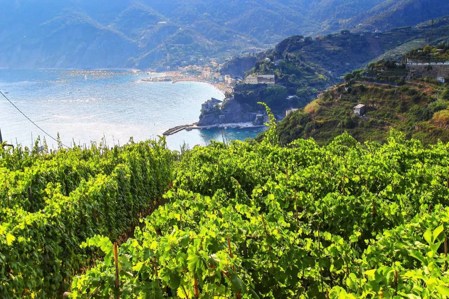 Comida e Vinho de Cinque Terre