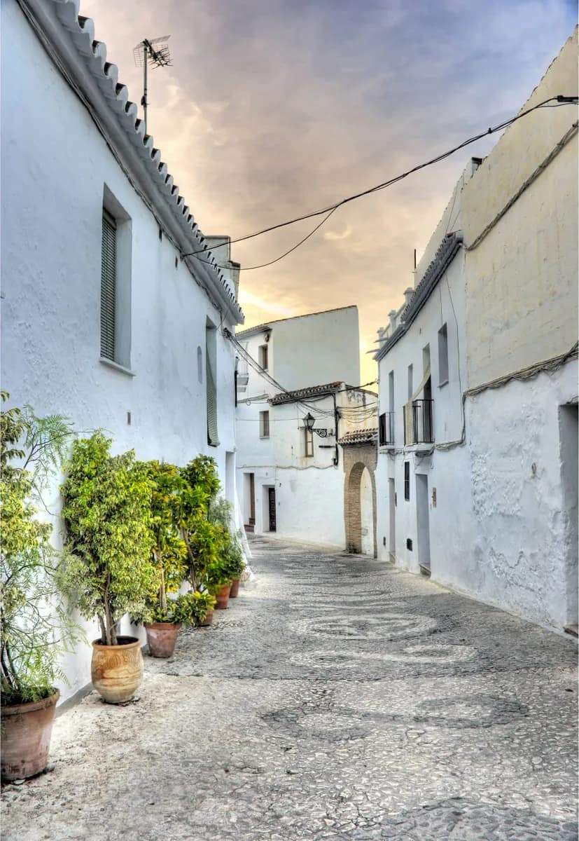 O século XIX industrial de Marbella