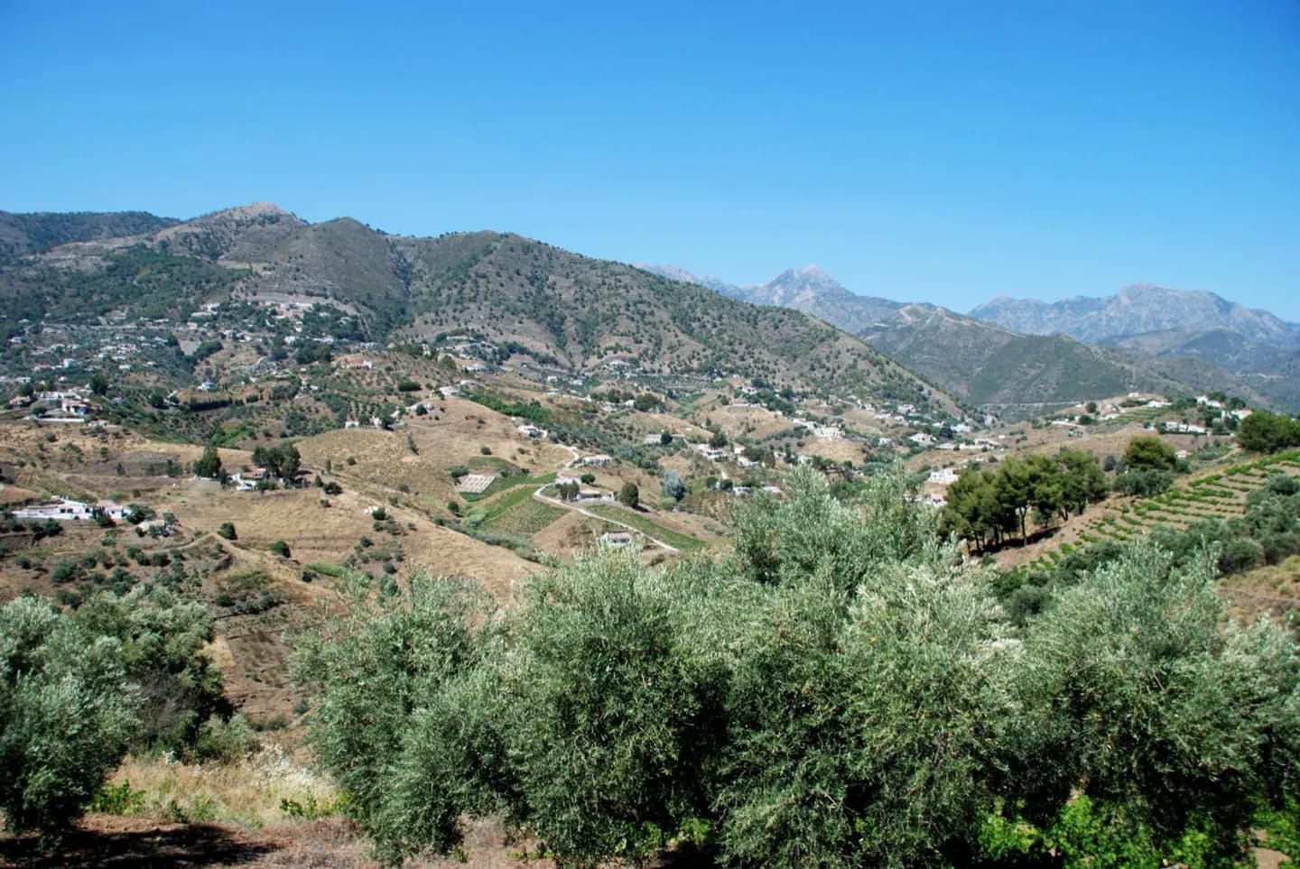 Torrox Through Three Eras