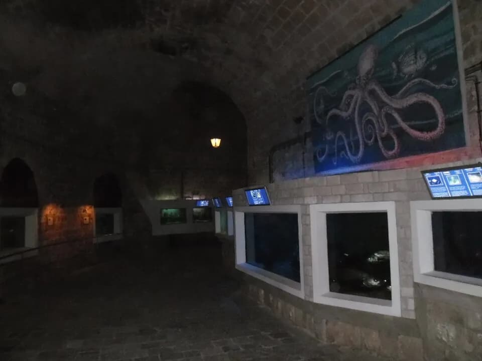 Aquarium des criques orientales