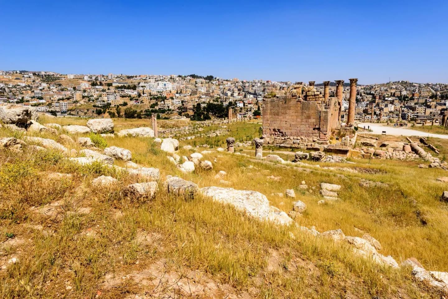 Den Tempel der Artemis wiederentdecken