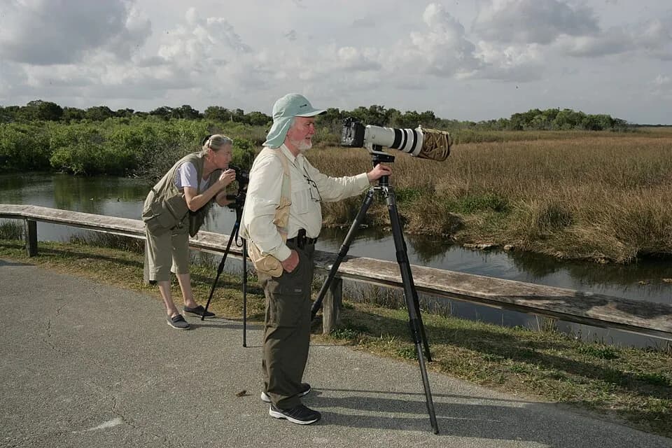Anhinga Trail at Royal Palm