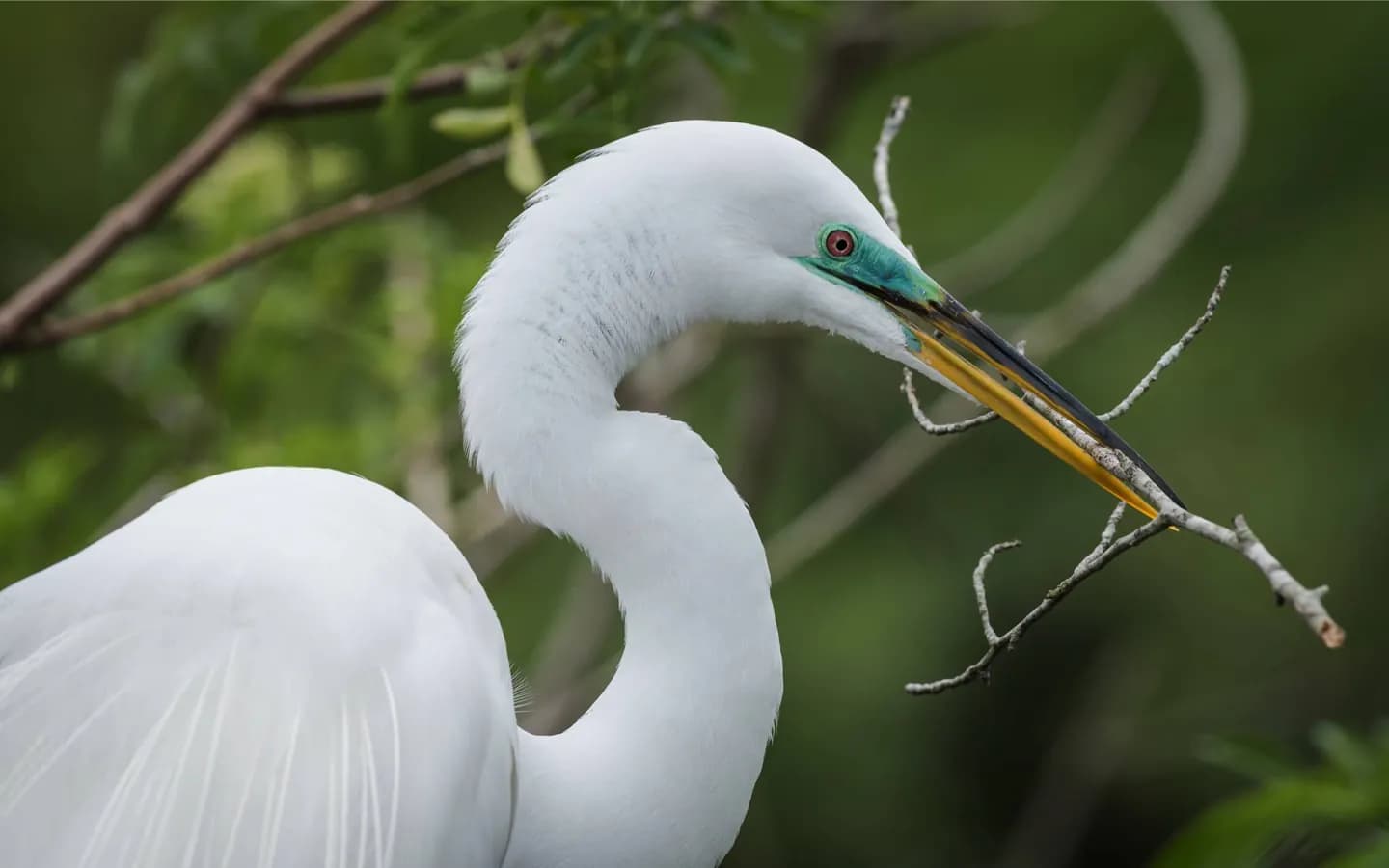 Comment l'histoire de la Floride façonne une visite