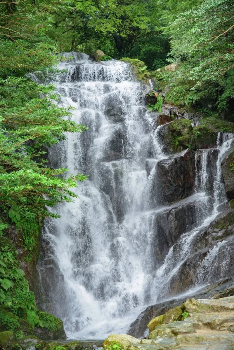 都市の前の福岡