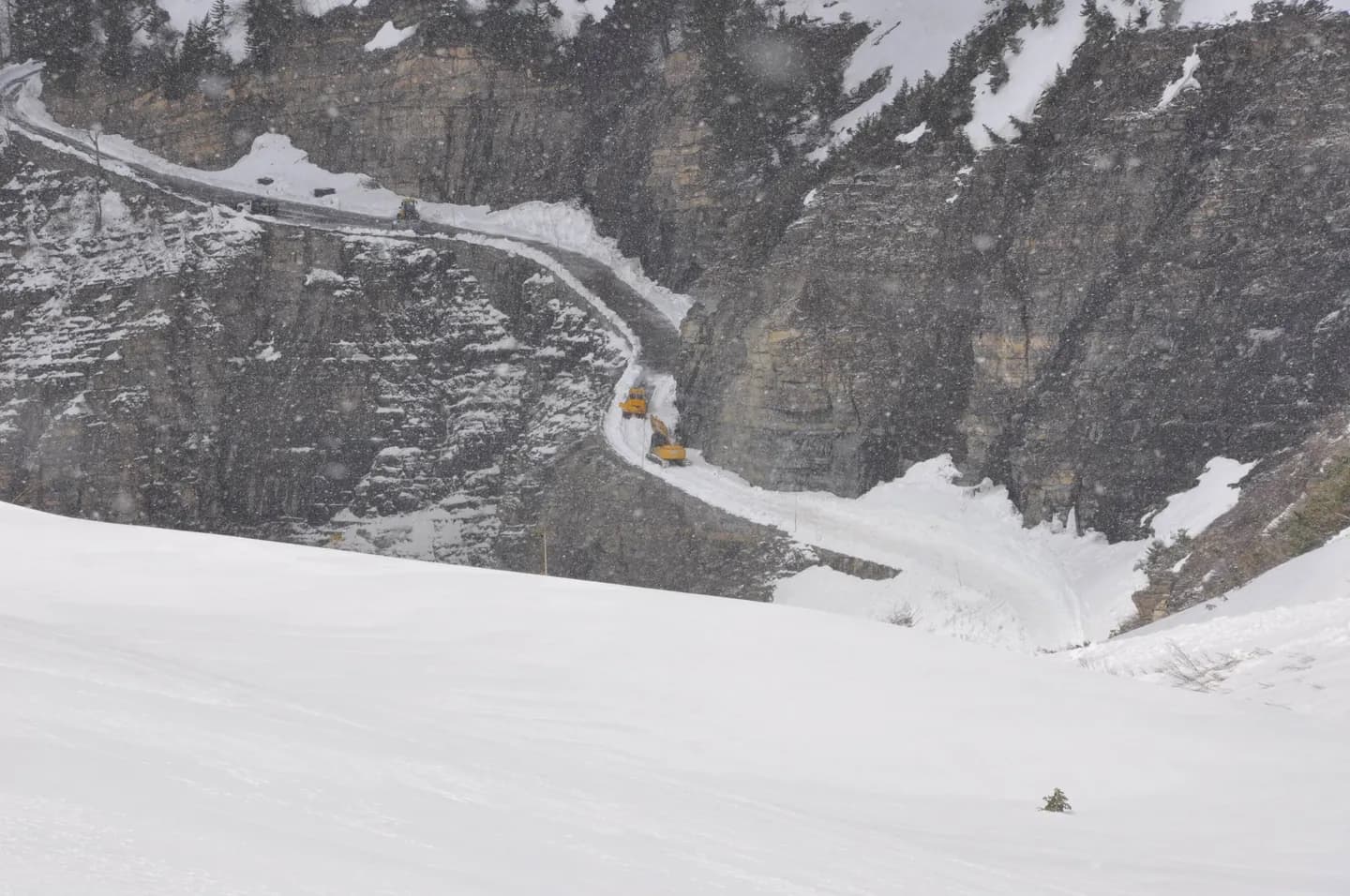 Дорога Going-to-the-Sun Road High Country