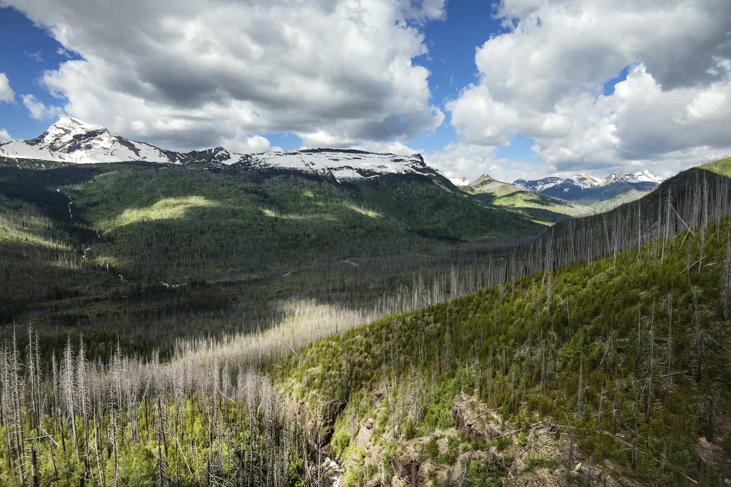 Дорога Going-to-the-Sun Road High Country