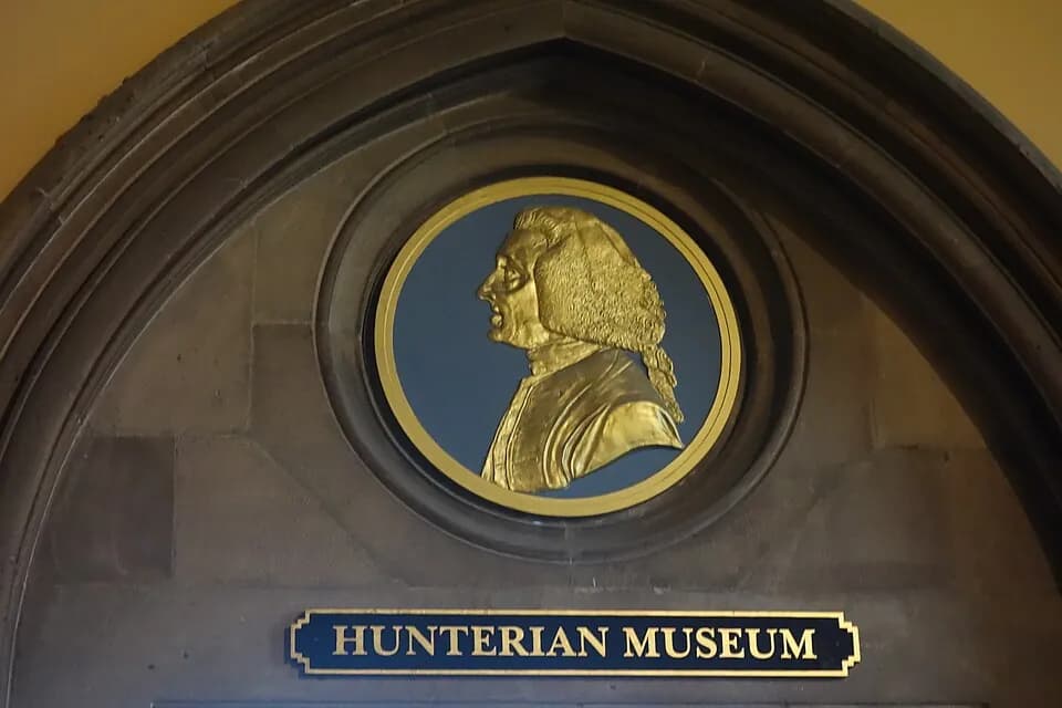 The Hunterian