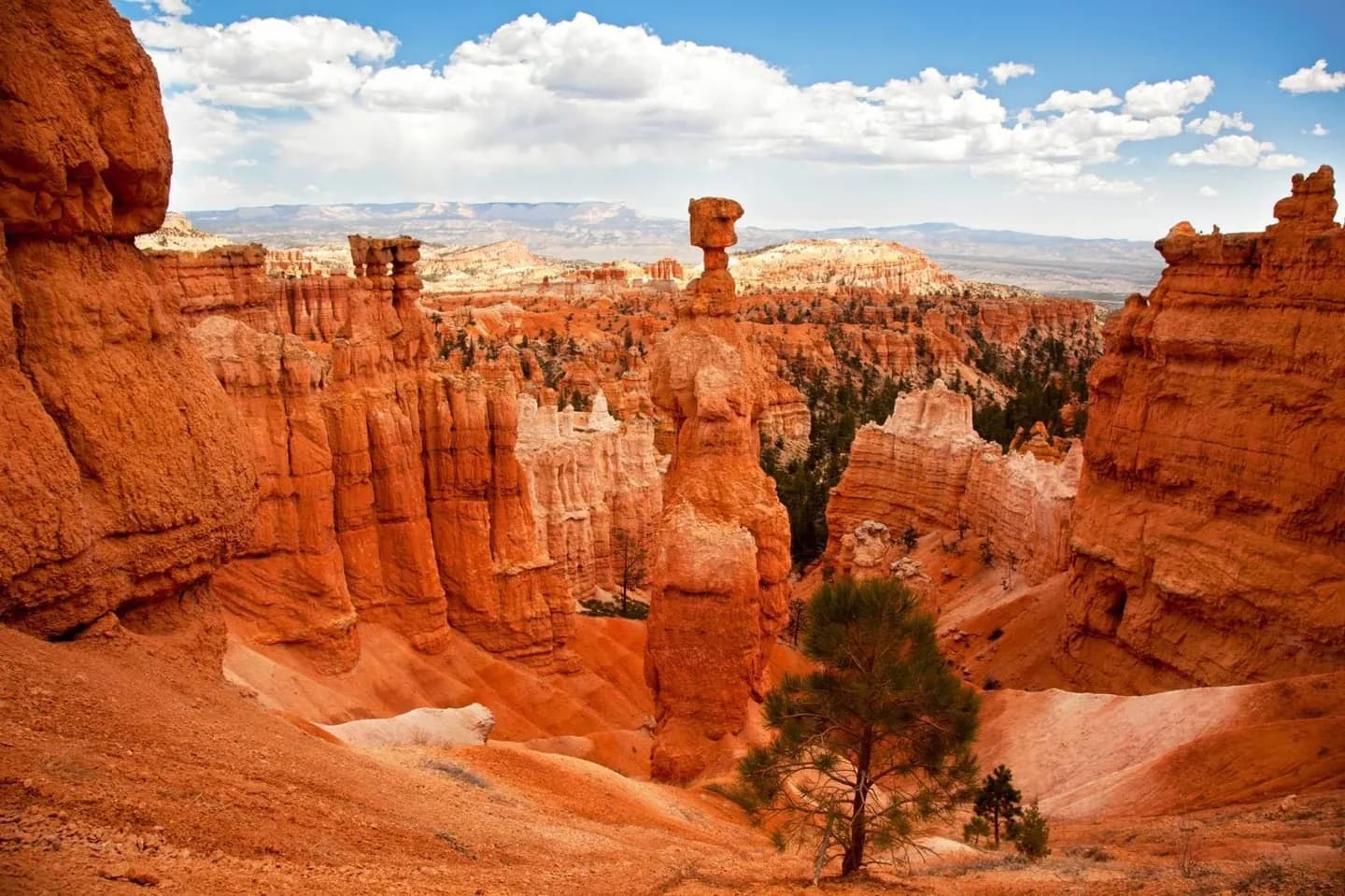 Entendendo a Geografia do Grand Canyon