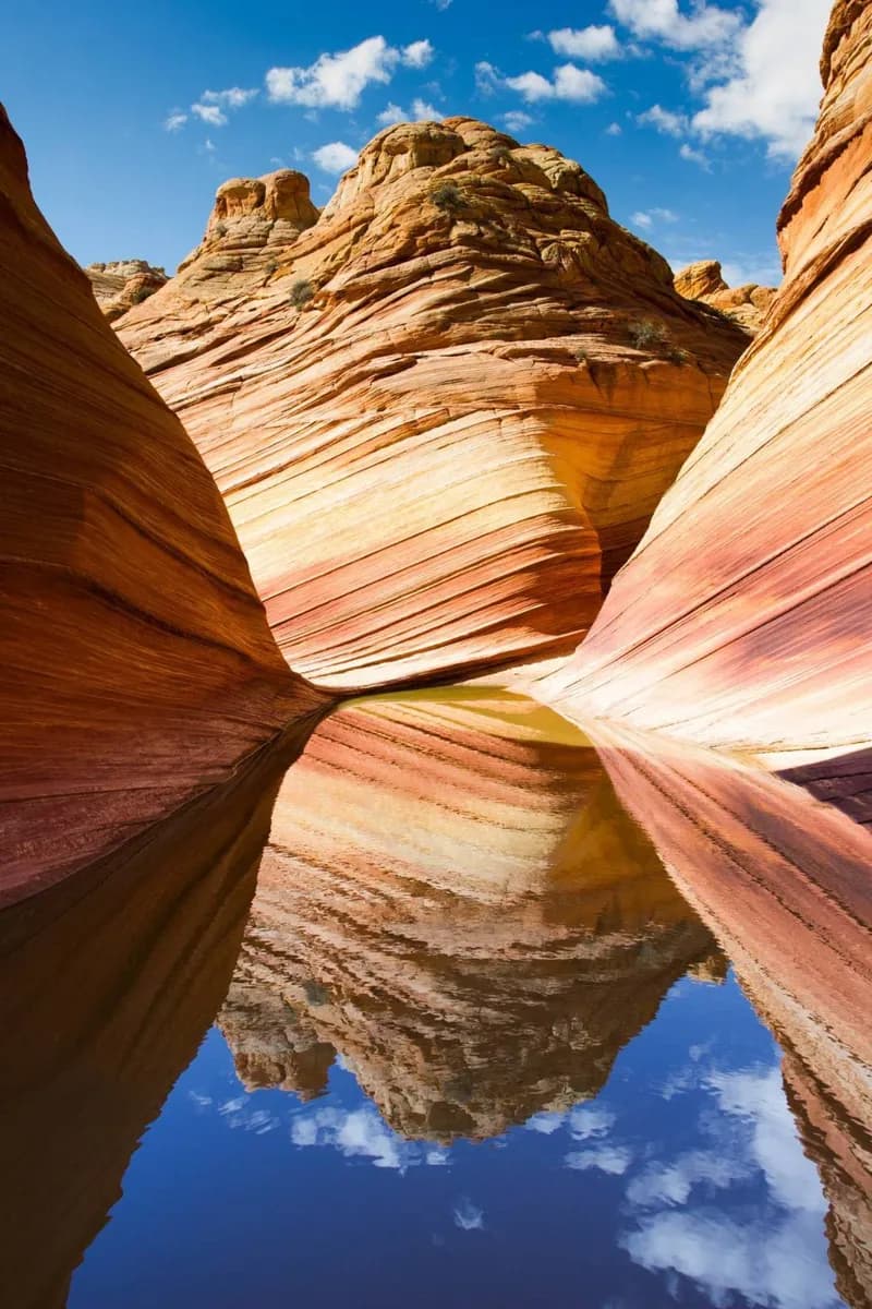 Reading the Canyon's Rock Layers