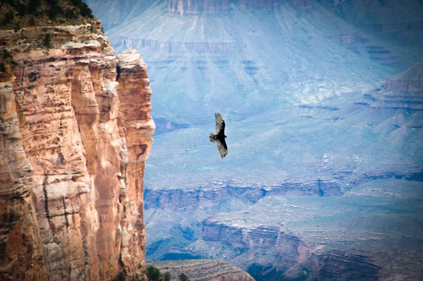 Wie der Grand Canyon geschützt wurde